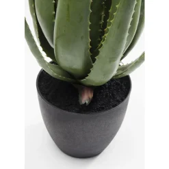 Deco plant aloe vera - Kare Design Deco plant