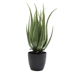 Deco plant aloe vera - Kare Design Deco plant