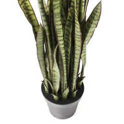 Deco plant vrouwentongen - Kare Design Deco plant