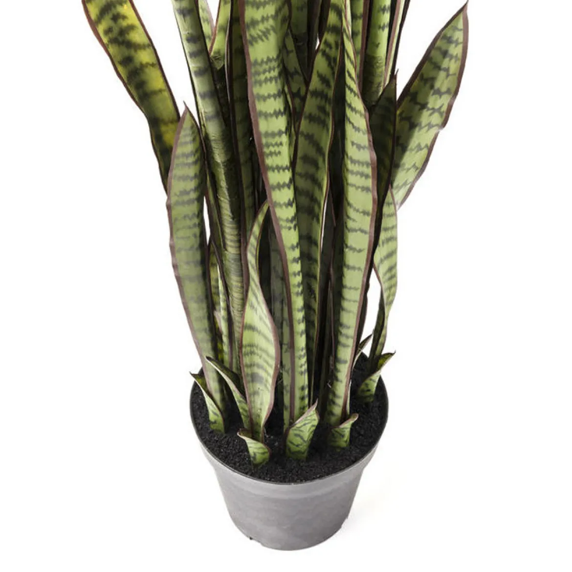Deco plant vrouwentongen - Kare Design Deco plant