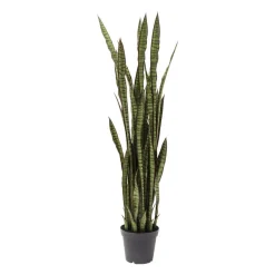Deco plant vrouwentongen - Kare Design Deco plant