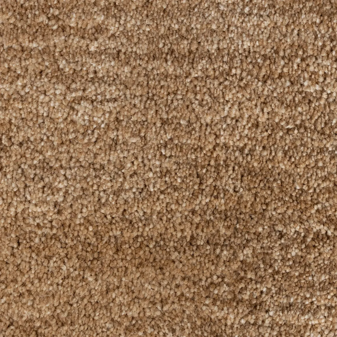 Eenvoudig vloerkleed beige - Zuiver Luwte