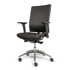 Ergonomische bureaustoel - Lavis Wait plus