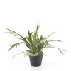 Kunstplant staghorn varen 51 cm - By-Boo Staghorn Fern