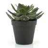 Kunst vetplant met pot 16,5 cm - By-Boo Succulent Echeveria 2
