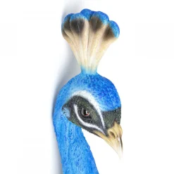 Wanddecoratie pauw - Kare Design Peacock